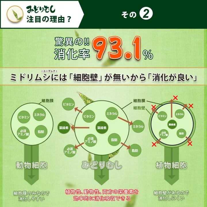 2個セット／みどりむしダイエット キングバイオ（60粒） ユーグレナ 腸活 宿便サプリ おなか掃除 ミドリムシ  イヌリン 食物繊維 ロッツ ROTTS｜rotts｜09