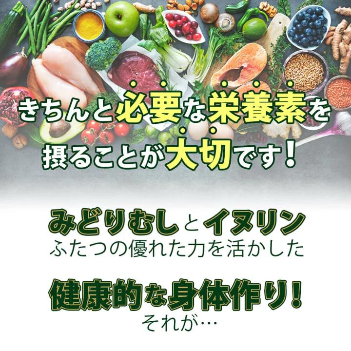 ROTTS [メーカー公式] [3個セット] みどりむしダイエット キングバイオ