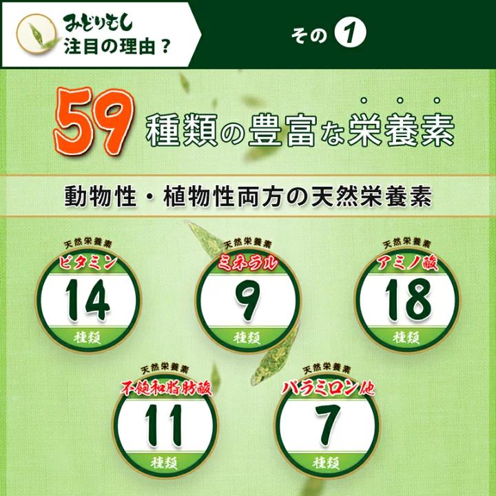 ROTTS [メーカー公式] [3個セット] みどりむしダイエット キングバイオ