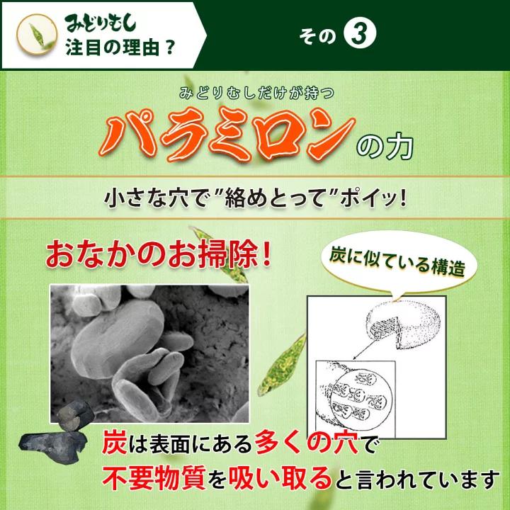 ROTTS [メーカー公式] [3個セット] みどりむしダイエット キングバイオ