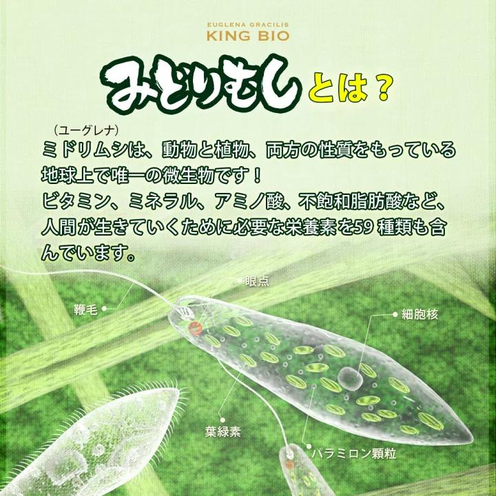 ROTTS 4個セット/みどりむしダイエット キングバイオ(60粒 ROTTS 4個セット/みどりむしダイエット キングバイオ(60粒
