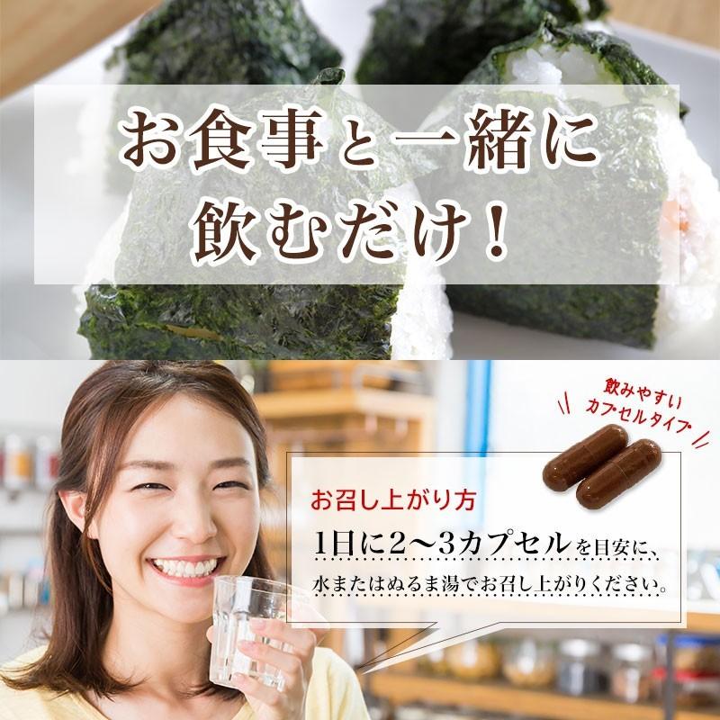 【3個セット】 Dietサラシア（30カプセル×3個）サラシア サプリ  糖質制限 ダイエット 血糖値 サラシノール コタラヒム コタラノール サポニン 効果｜rotts｜08