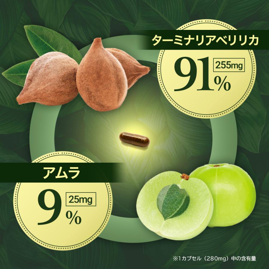ROTTS ターミナリアベリリカ 91% 高配合 糖脂 ダイエット サプリ