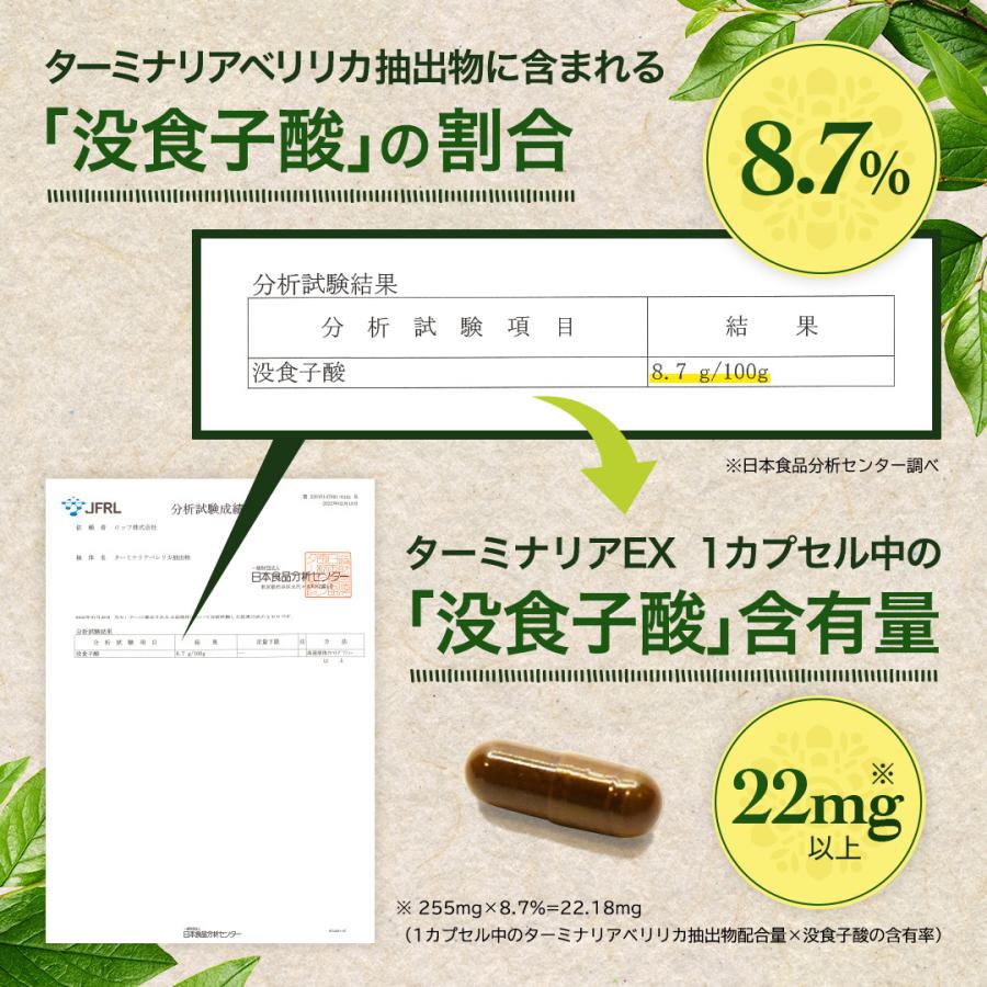 ROTTS ターミナリアベリリカ 91% 高配合 糖脂 ダイエット サプリ