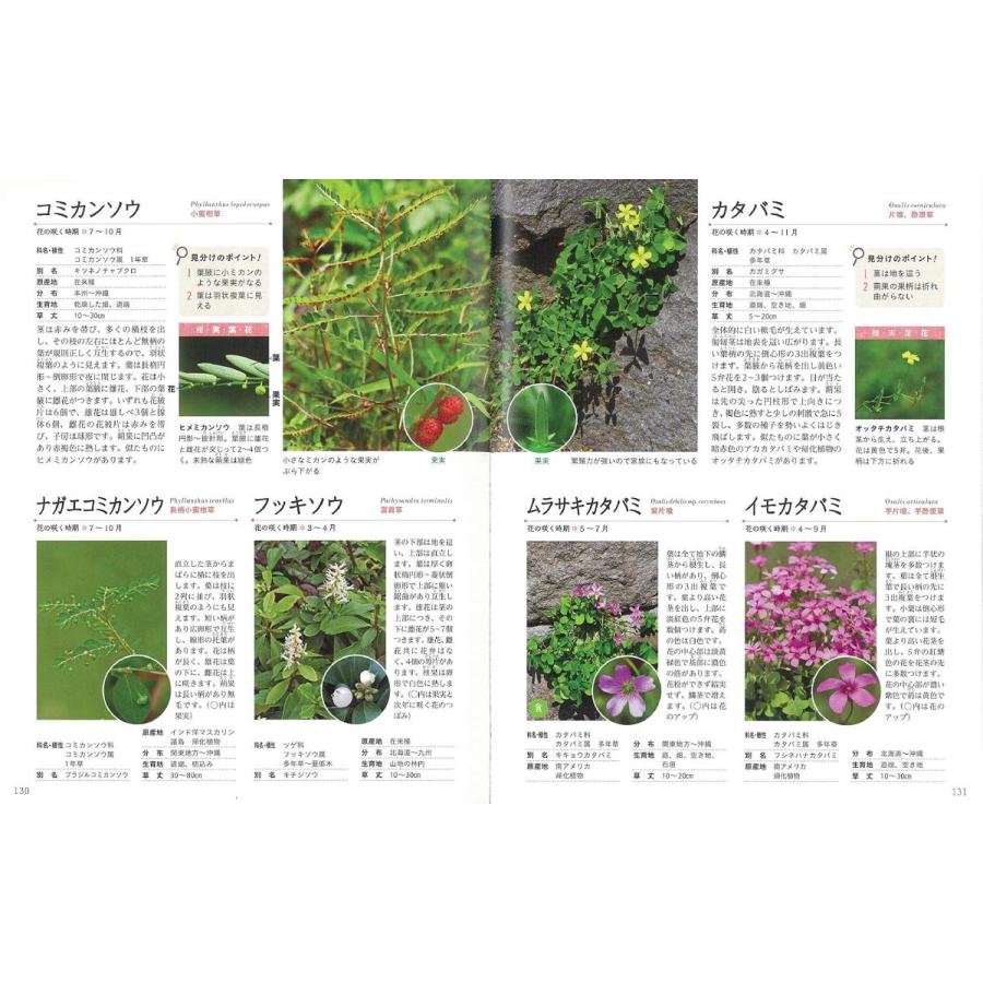 山野草図鑑 : 朗読社Yahoo!店 - 通販 - Yahoo!ショッピング