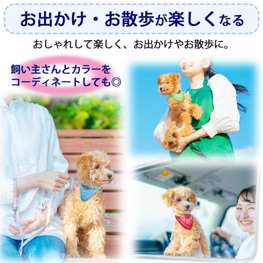 首輪 犬 猫 バンダナ いぬ ねこ ドッグ キャット ペイズリー おしゃれ