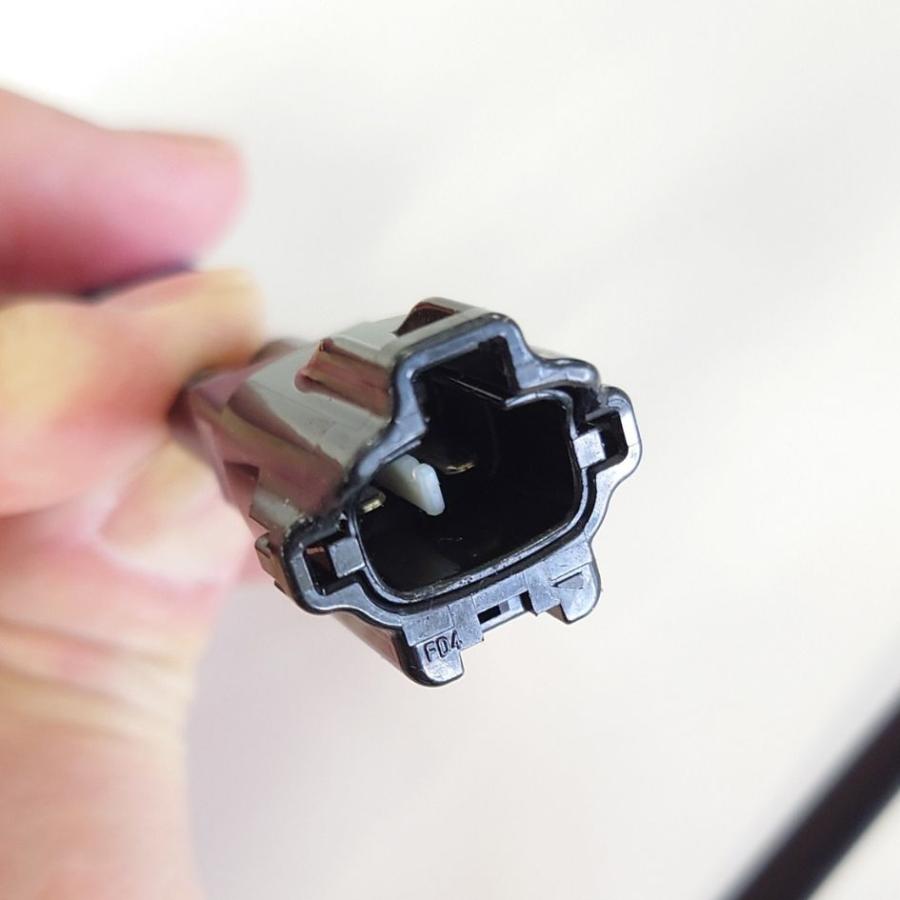 ナカジ購入野外標本2点セット ナカジ野外標本2点セット(①、➁