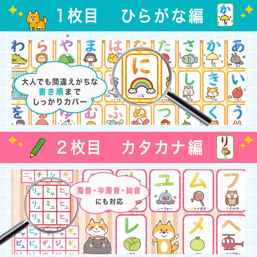 送料無料】ひらがな カタカナ アルファベット 数字 お風呂ポスター