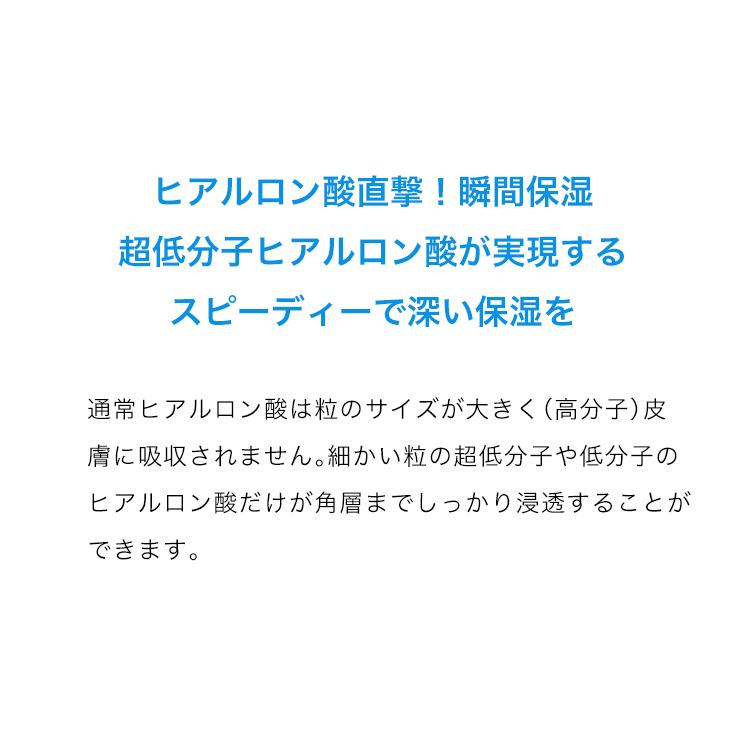 化粧水 スキンケア、フェイスケア化粧水 保湿 高保湿 敏感肌 メンズ レディース ロベクチン日本公式 アクアヒアルロニックエッセンス100mL | ブランド登録なし | 04
