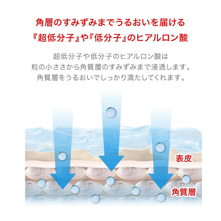 【2本セット】化粧水 保湿 敏感肌 保湿化粧水 メンズ レディース ロベクチン日本公式 アクアヒアルロニックエッセンス 180ml 30代 40代｜rovectin｜07