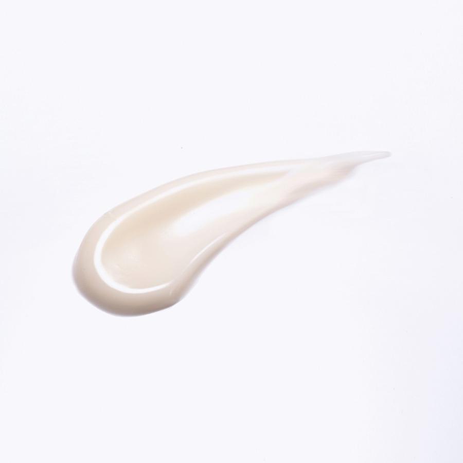 ボディローション ボディクリーム 無香料 大容量 高保湿 敏感肌 超低刺激ロベクチン日本公式 プレミアムボディローション200mL | ブランド登録なし | 02