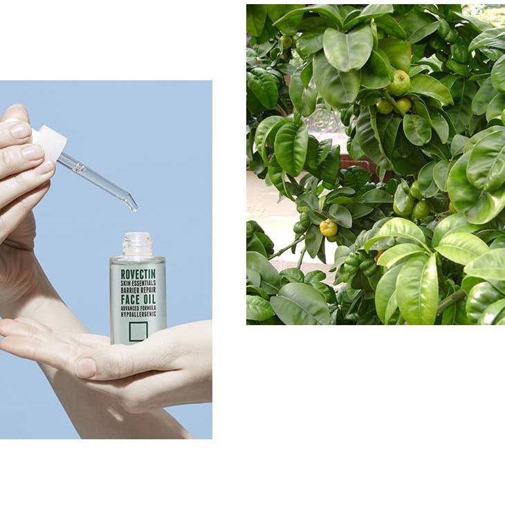 美容オイル 顔 フェイスオイル スクワラン ネロリ 乾燥肌 ロベクチン日本公式 エッセンシャル フェイスオイル 30mL 韓国 | ブランド登録なし | 09