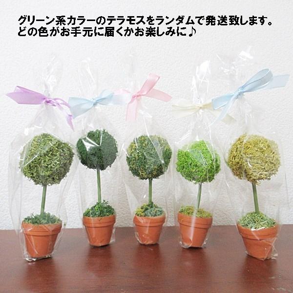 モスボール 大 1個 TERRA MOSS テラモス 空気清浄 吸音 調湿 耐火 消臭