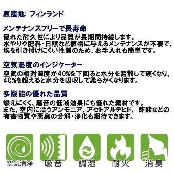 モスボール 特大 プランターボール 1個 Terra Moss テラモス 空気清浄 吸音 調湿 耐火 消臭 インテリア 苔玉 送料無料 Kno186 Rovel 通販 Yahoo ショッピング