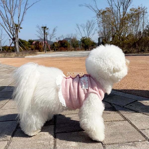 限定価格 ペット服 zoobico ズービコ ジュビコ Flower lace crop