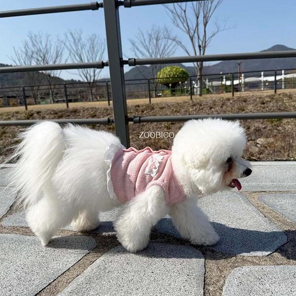 限定価格 ペット服 zoobico ズービコ ジュビコ Flower lace crop