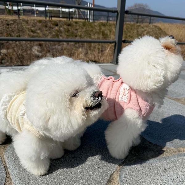 限定価格 ペット服 zoobico ズービコ ジュビコ Flower lace crop