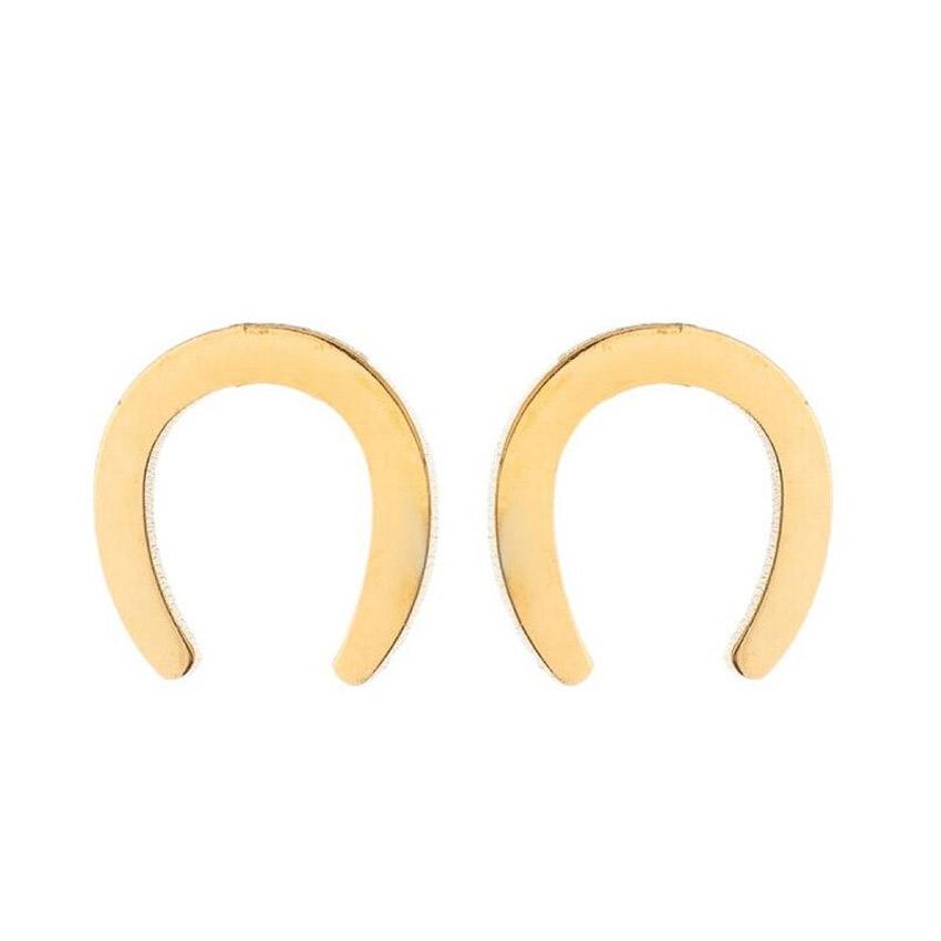 送料無料 ラッキーホースシュー ピアス  馬蹄 U字 シンプル 馬 マイクロ  ジルコン ラグジュアリー スタッドピアス ベビー 女性 動物 ステンレス |  | 02