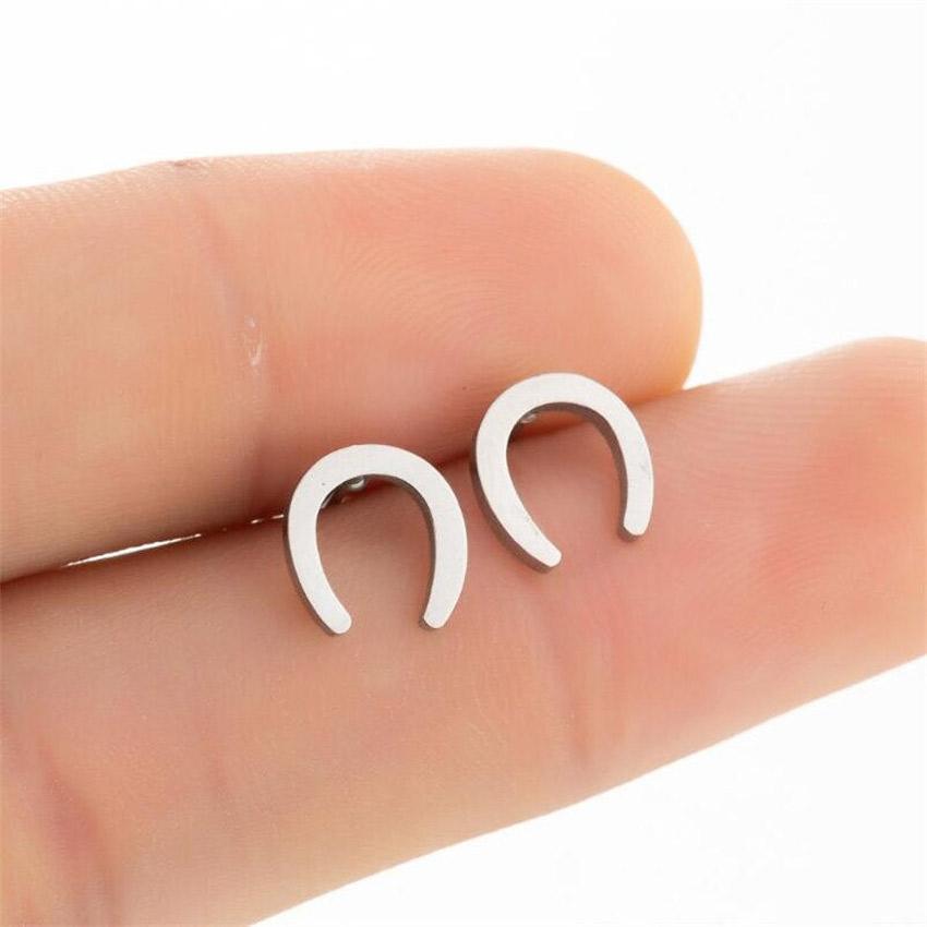 送料無料 ラッキーホースシュー ピアス  馬蹄 U字 シンプル 馬 マイクロ  ジルコン ラグジュアリー スタッドピアス ベビー 女性 動物 ステンレス |  | 03