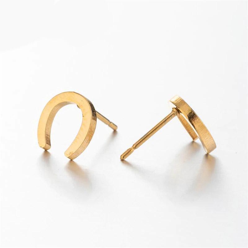 送料無料 ラッキーホースシュー ピアス  馬蹄 U字 シンプル 馬 マイクロ  ジルコン ラグジュアリー スタッドピアス ベビー 女性 動物 ステンレス |  | 04