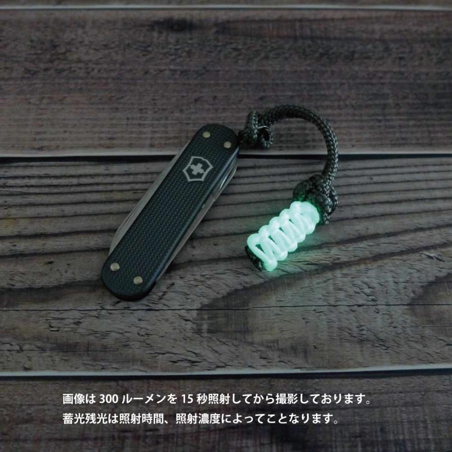 VICTORINOX（ビクトリノックス） 2022年 限定 クラシック アルミ ALOX