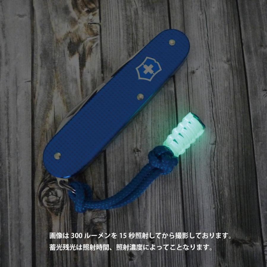VICTORINOX（ビクトリノックス） 2020年 限定 ソルジャー CVAL ALOX 