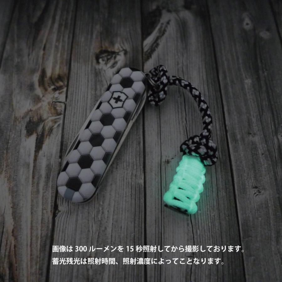 VICTORINOX（ビクトリノックス） 2020年 限定 クラシック リミテッド 