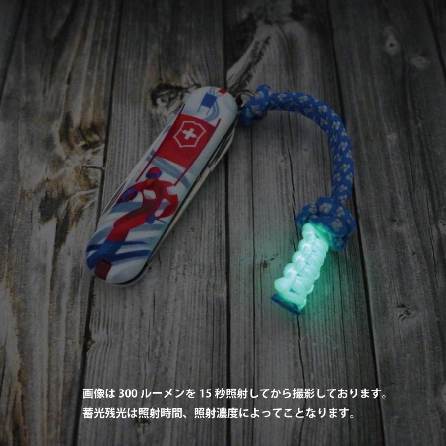 VICTORINOX（ビクトリノックス） 2020年 限定 クラシック リミテッド