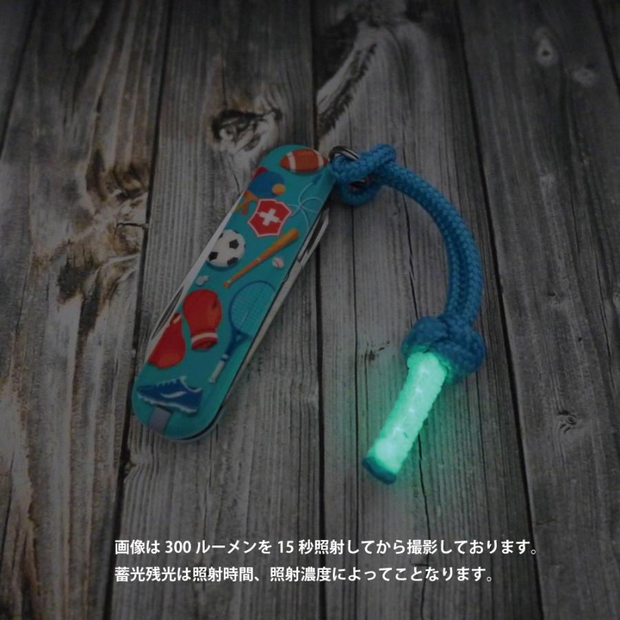 VICTORINOX 2020年 限定 ビクトリノックス クラシック リミテッド