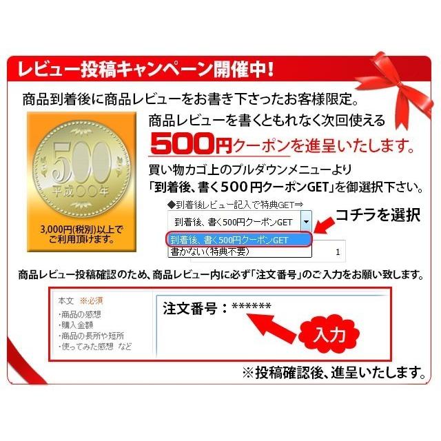 ランチョンマット 和美SAVY サラダ 日本製 選べる30色 ４枚組｜royal-g｜04