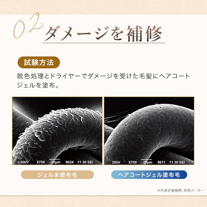 トリートメント 洗い流さない ヘアコートジェルMax 100ml ハイダメージ