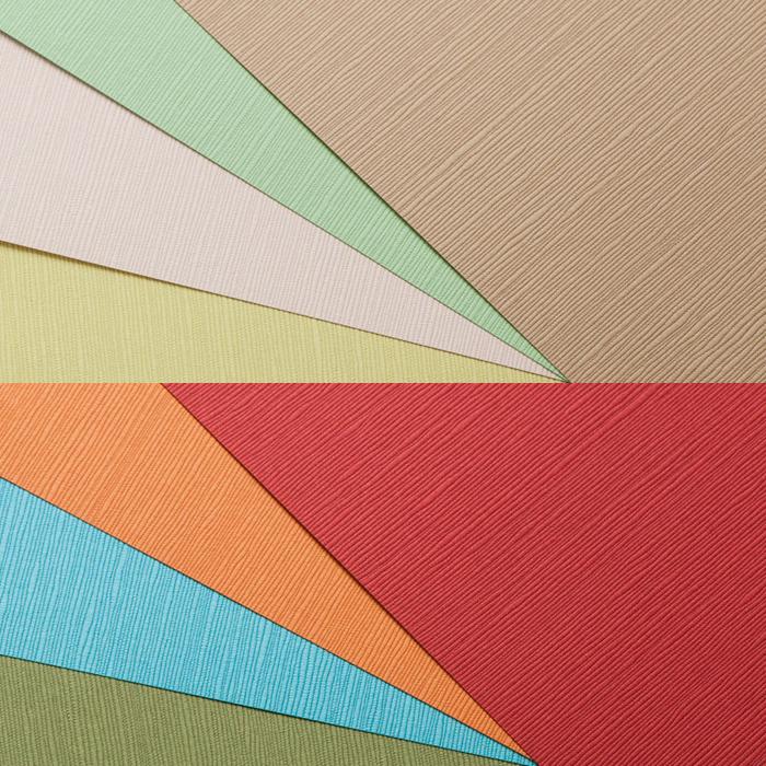 特殊紙 レザック80 ツムギ 120kg 竹尾 半切 545×788mm 20枚入 色