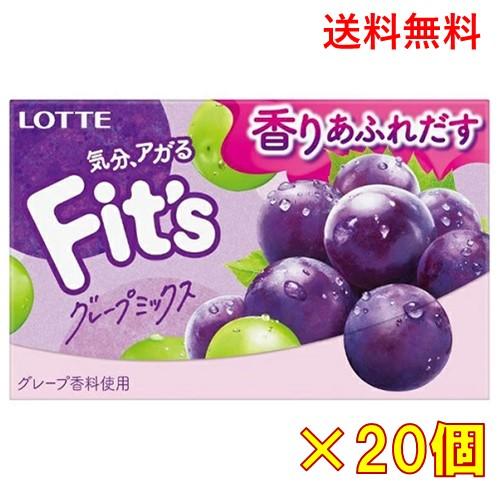 ロッテ Fit's（フィッツ）グレープミックス 12枚×20個（Yahoo!・ロイヤルネット通販 夢創蔵）