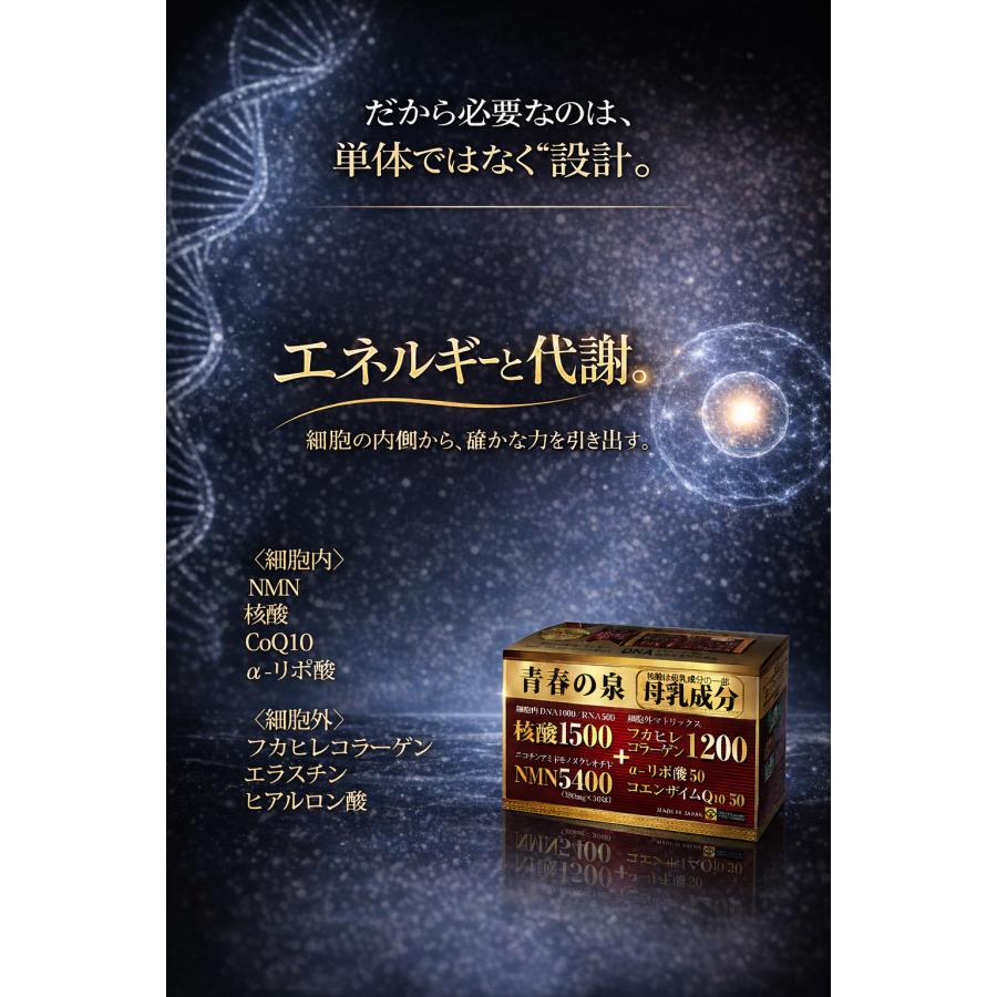 青春の泉】核酸1500＆フカヒレコラーゲン1200+NMN7袋+天然マルチ