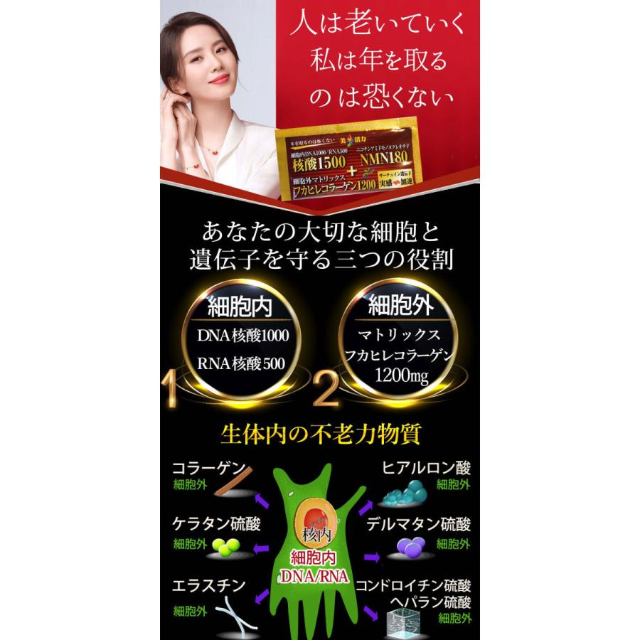 フカヒレコラーゲン Dna核酸 ミトコンドリアサプリ 初回限定お試し 大人気 赤字