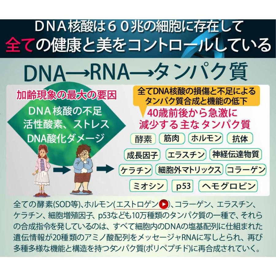 プラセンタ サプリメント 馬 国産　北海道サラブレッドプラセンタ原末230mg＋DNA核酸原末75　合計4袋 ほぼ原価販売｜royal-y3000｜06