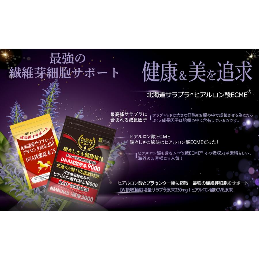 プラセンタ サプリメント 馬 国産　極限増量北海道サラブレッドプラセンタ原末230mg＋DNA核酸原末75mg馬　2袋　ヒアルロン酸ＥＣＭＥ1202袋　合計4袋｜royal-y3000｜09