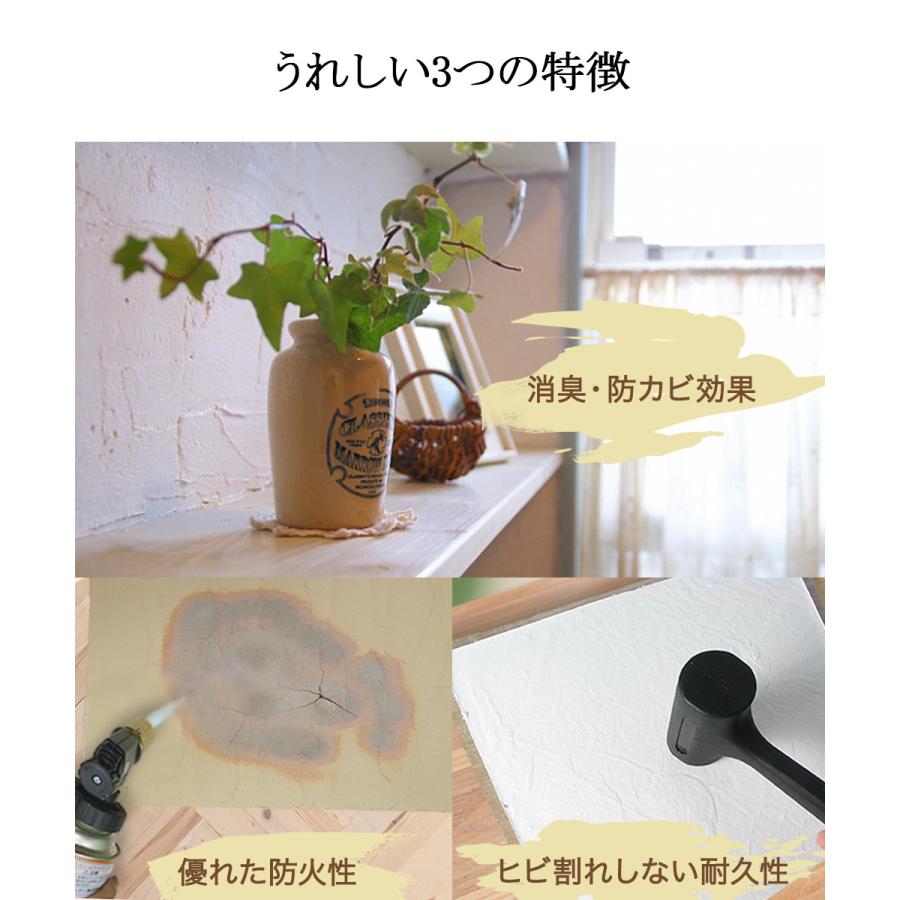 日本製 練り済み 漆喰 4kg 約2畳分 | 塗装 ペイント リフォーム diy 