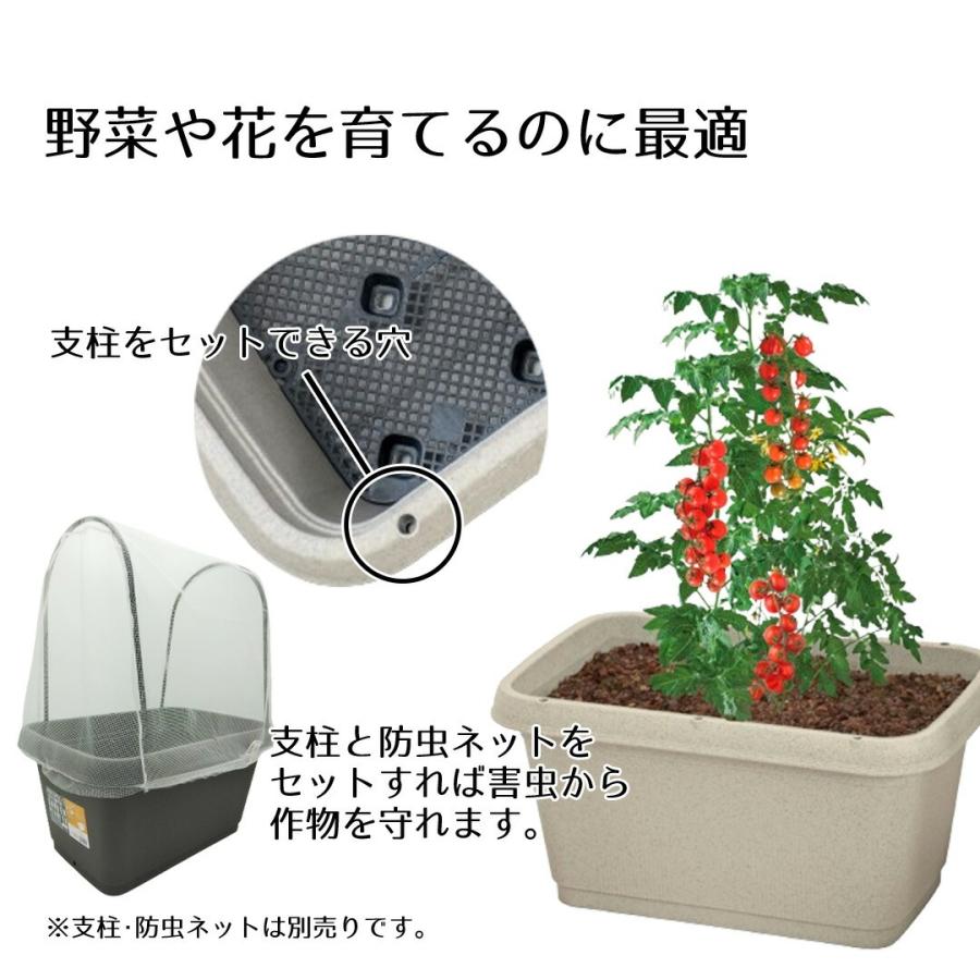 プランター ボックス 長方形 | ベジタブル＆フラワー ガーデン