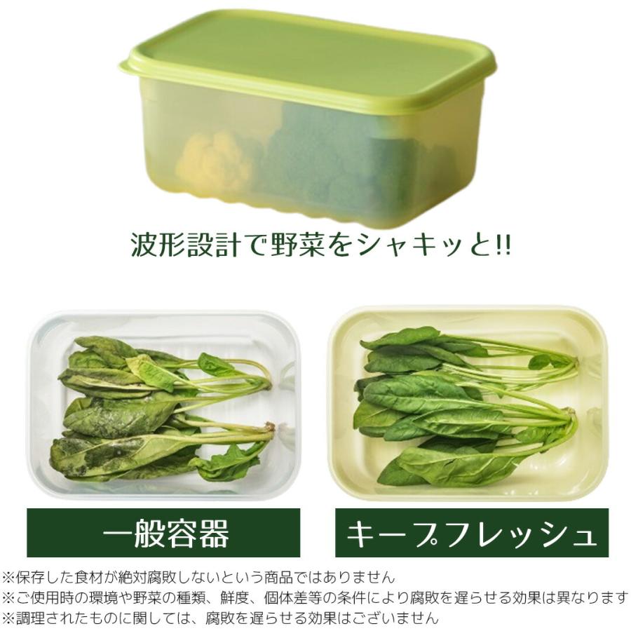 保存容器 鮮度長持ち 3.2L ロック＆ロック | キープフレッシュ 密閉