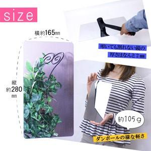 ニューはるぴた 280×165mm | 貼る鏡 壁 貼る 鏡 浴室 割れない鏡 フィルムミラー ミラー シール コンパクト 玄関 全身鏡 軽量 ウォールミラー 全身 お風呂 風呂 |  | 03