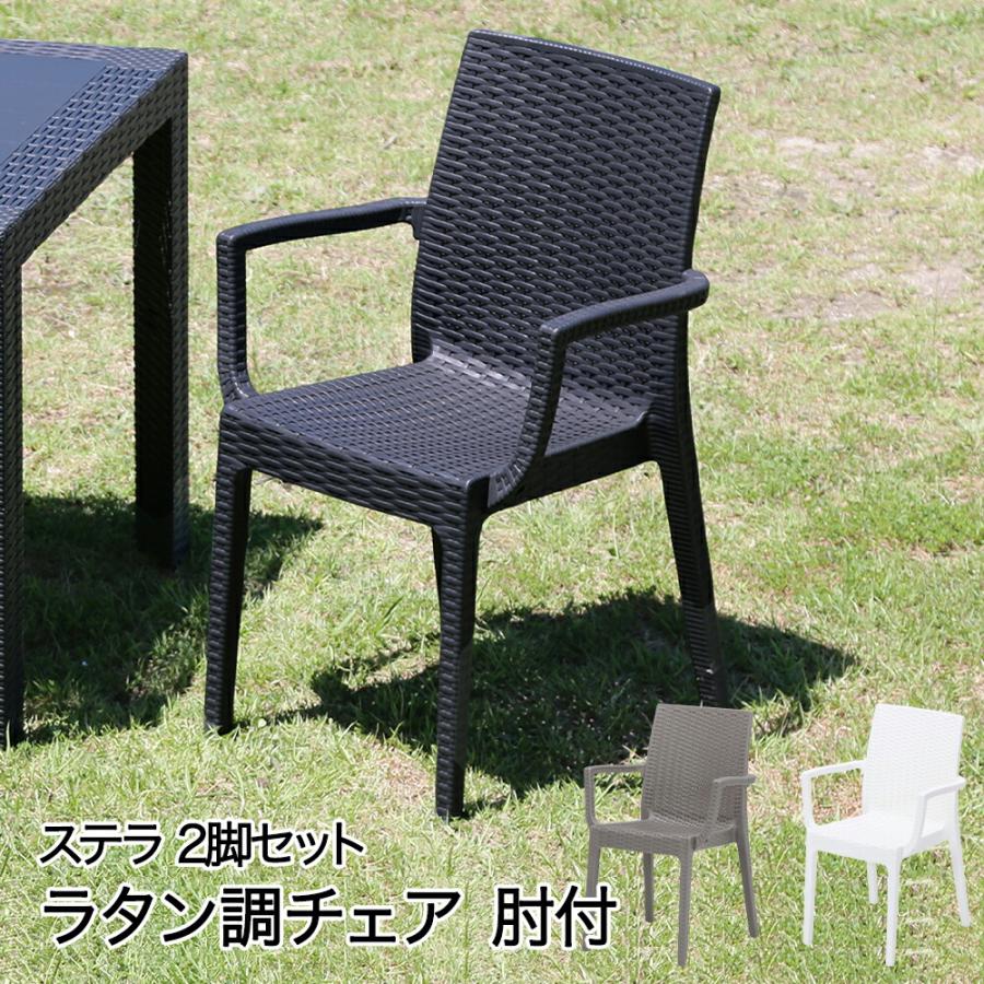 ラタン調 チェア 肘付 2脚セット ステラ イタリア製 不二貿易 