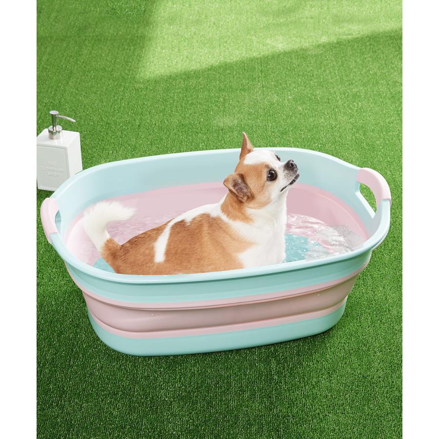 上等な コンパクト収納 犬 お風呂 猫 ねこ バス ペットバス 犬バスタブ ペットバスタブ たらい 犬のお風呂 犬用バスタブ ペット用バスタブ 水栓 Aoe81 Pinturaslumen Com Ar