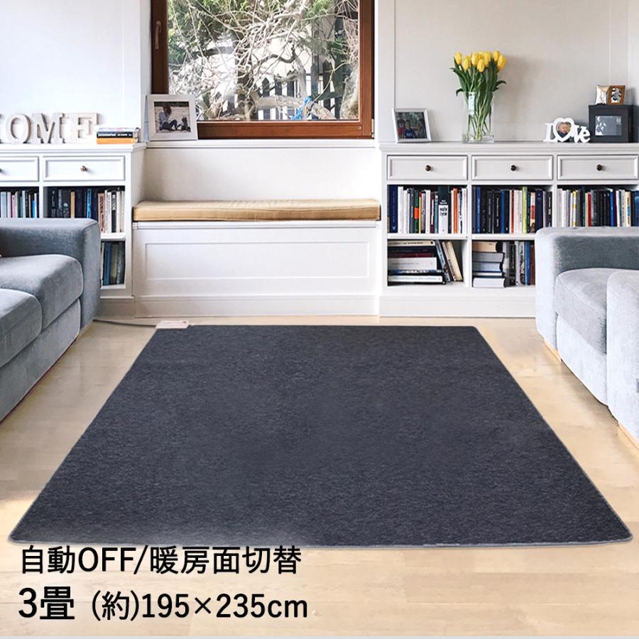 激安人気新品 ホットカーペット ホットマット 電気マット 暖房 オフィス 足元 あたたか 温度調節 Hcm 10 T 176 cm ブラウン アイリスオーヤマ 父の日 Riosmauricio Com