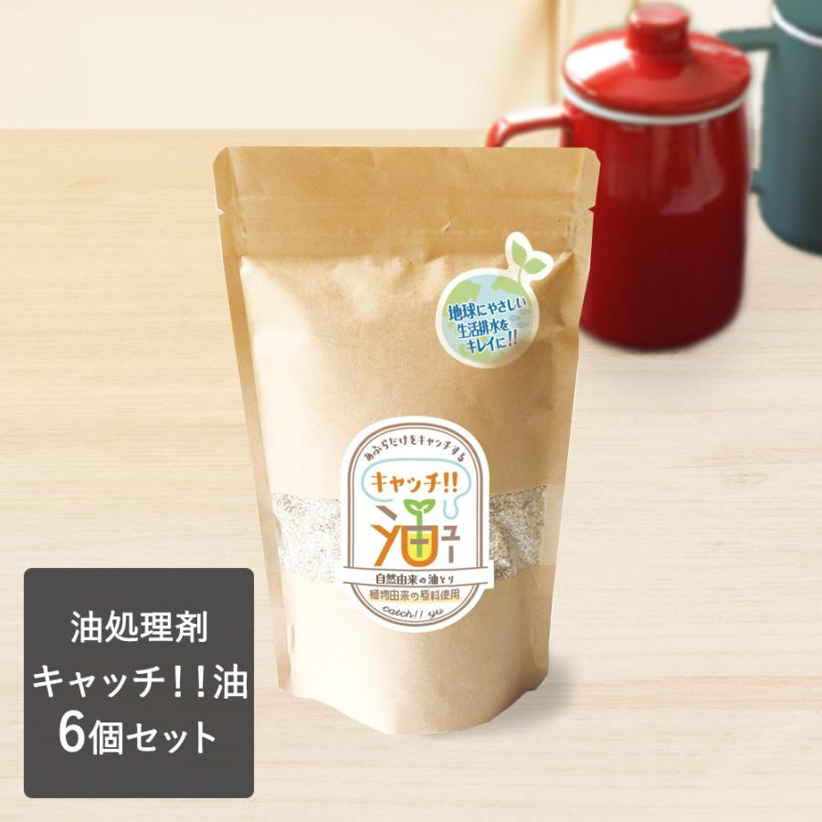 油処理剤 キャッチ 油 6個セット 油 処理 キャッチ油凝固 固める 固め 油処理 油固め 自然由来 自然 排水管 油キャッチ 油汚れ 吸い取る すいとり 天ぷら C461 6 ロイヤル通販 通販 Yahoo ショッピング