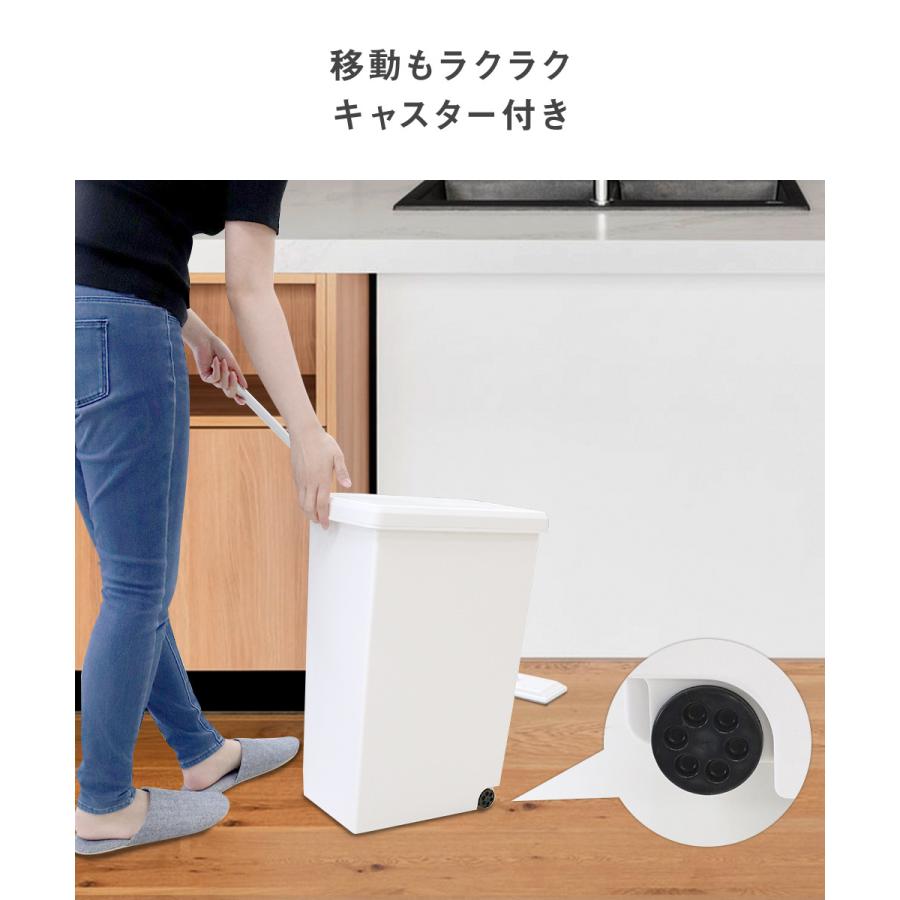 スライドペール 30L ゴミ箱 2個セット | ごみ箱 ダストボックス ゴミ
