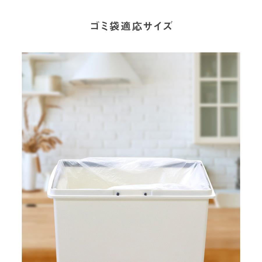スライドペール 30L ゴミ箱 | ホワイト ブラック ごみ箱 フタ付き