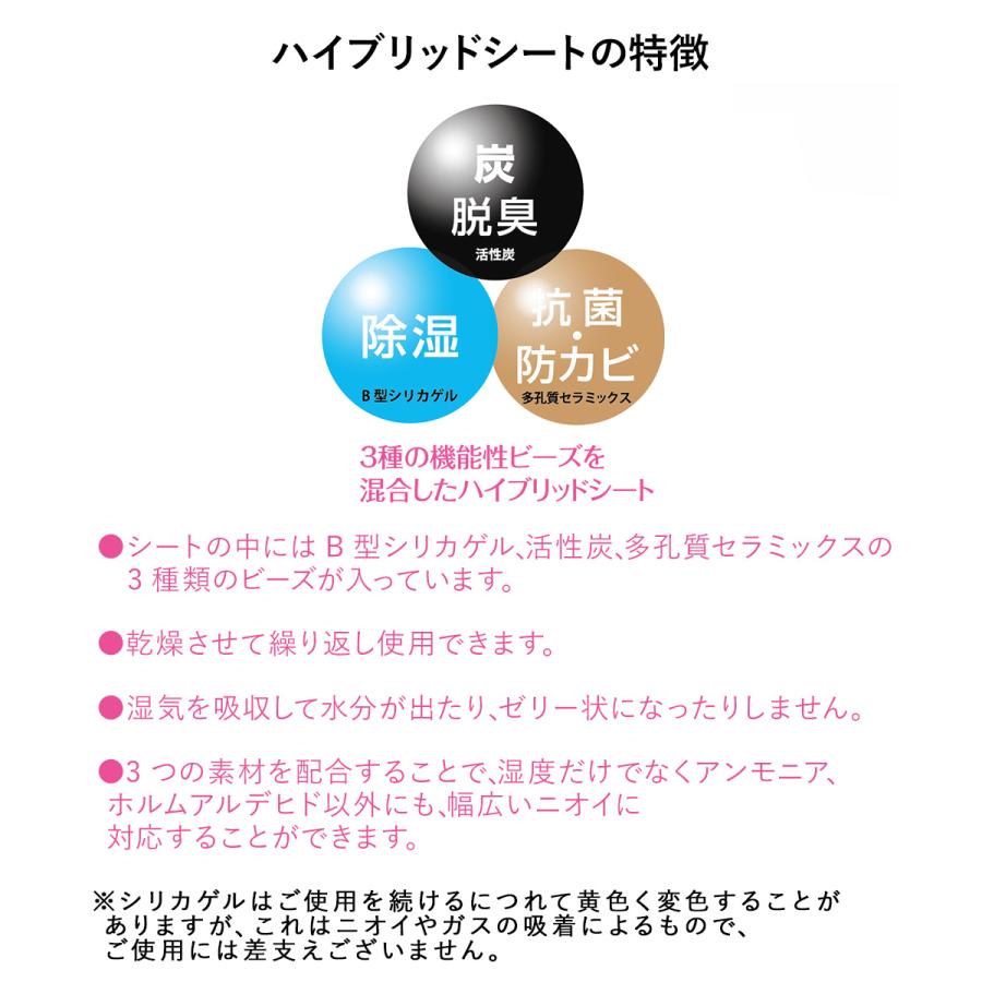 脱臭 & 除湿 シート フック付 クローゼット 用 2枚入 karari ハイブリッド HO2143 アネスティ | 除湿シート 脱臭シート 衣類 衣類用 衣類収納 ハ |  | 02