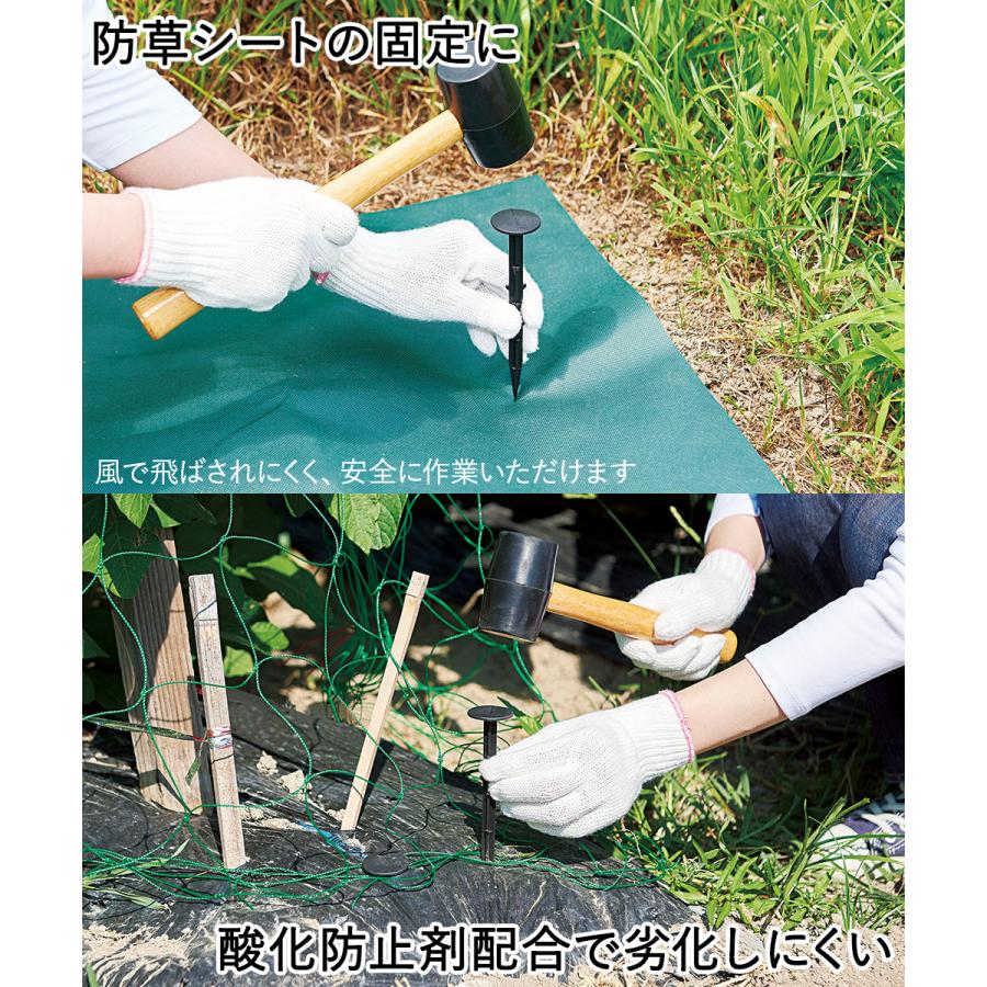 雑草防止シート 防草シート シート 押えピン 20本組 コジット | ピン