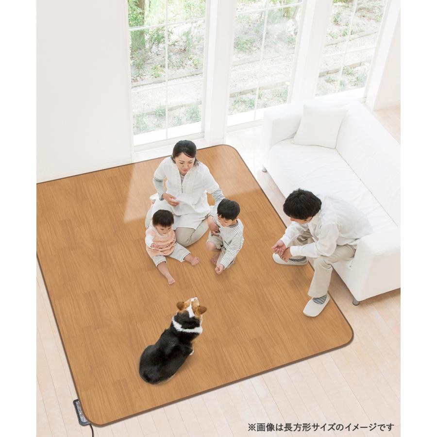 防水 ホットカーペットカバー 2畳 木目 185cm×185cm AHW-1002HH 明和